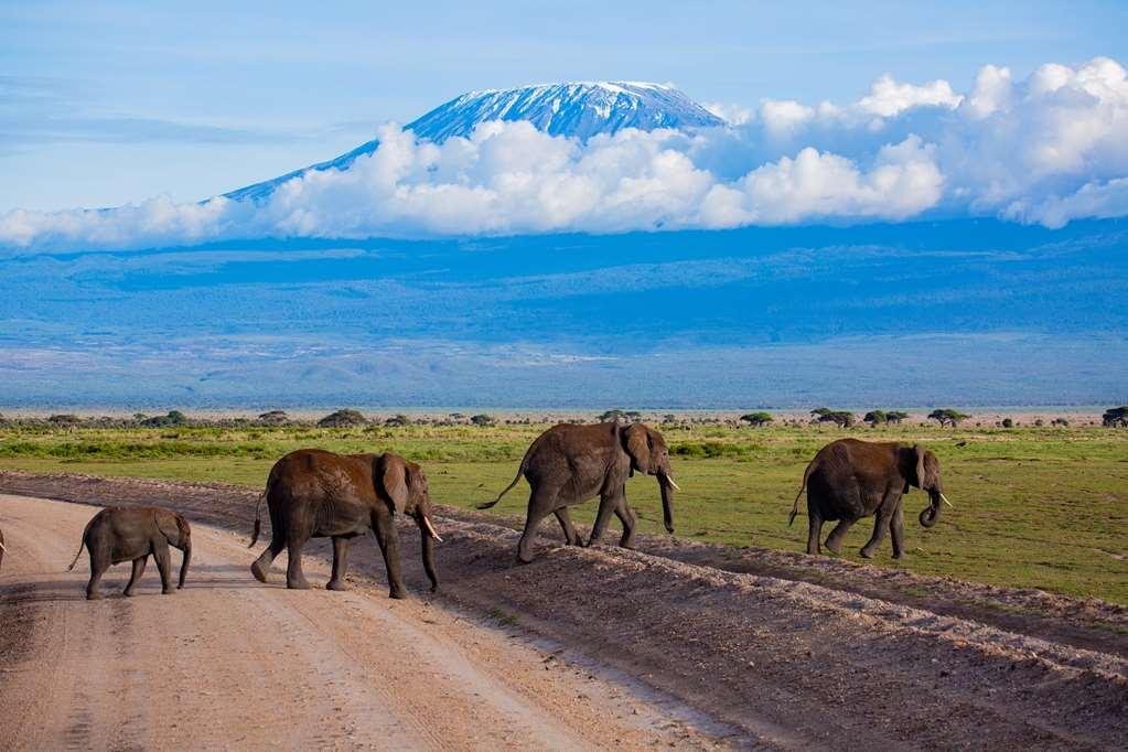 Amboseli Serena Safari Lodge Facilities photo