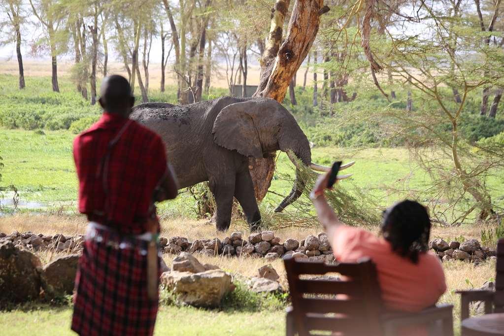 Amboseli Serena Safari Lodge Facilities photo